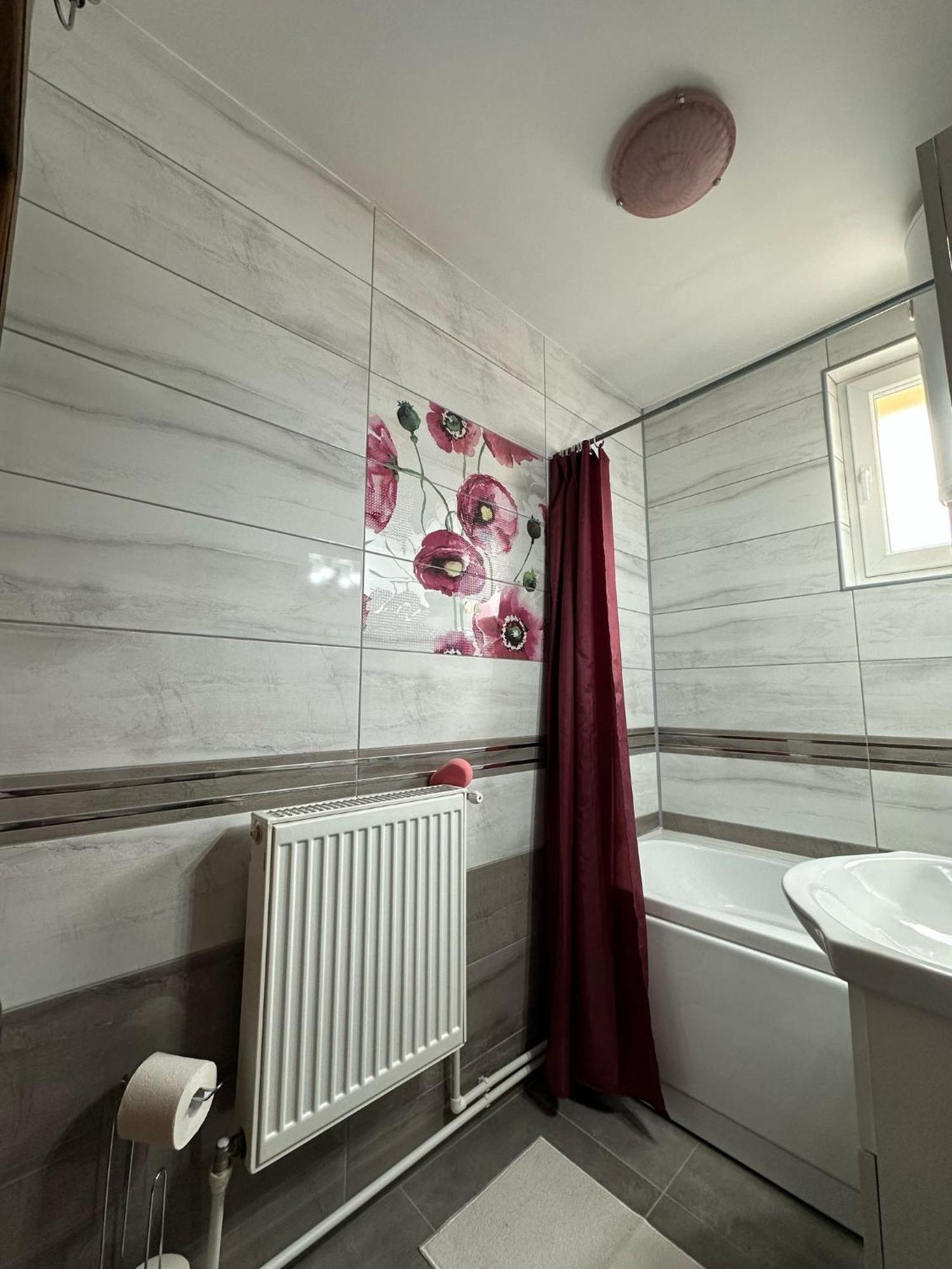 Apartament De Inchiriat Borsec Zewnętrze zdjęcie
